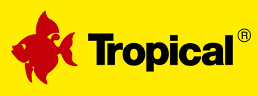 הצג מוצרים בקטגוריה Tropical תמונה עבור הקטגוריה Tropical