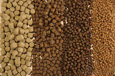 הצג מוצרים בקטגוריה מזון לדגים לפי משקל תמונה עבור הקטגוריה מזון לדגים לפי משקל