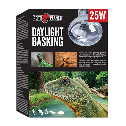 נורת תאורה וחימום ReptiPlanet Daylight Basking