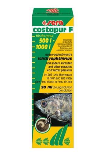 קוסטפור נקודות לבנות טיפול לדגים