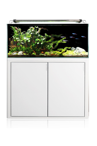 תמונה של אקווריומים מסדרת HFC אקווריומי Rimless אקסטרה קליר - HFC600 60x45x40