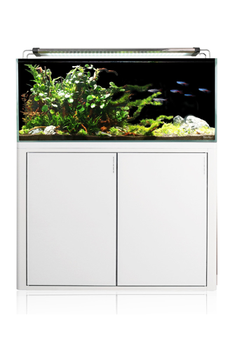 SunSun HFC600 aquarium rimless 60cm