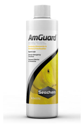 Seachem AmGuard מנטרל אמוניה מיידי להורדת רמת האמוניה