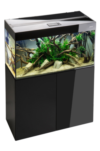 AQUAEL Glossy Black 80 ס"מ – אקווריום שחור יוקרתי | עיצוב מודרני ואיכותי