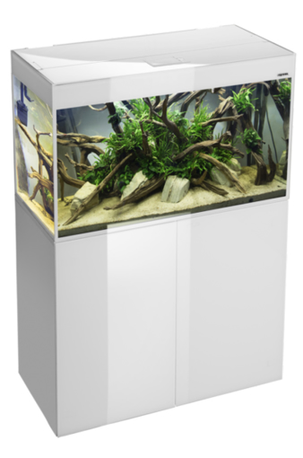 AQUAEL Glossy White 80 ס"מ – אקווריום לבן יוקרתי | עיצוב מודרני ונקי