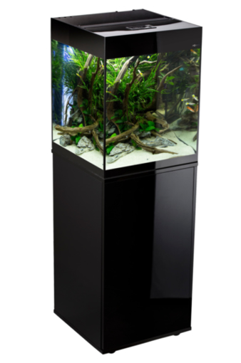 AQUAEL Glossy Cube – אקווריום קוביה שחור יוקרתי | עיצוב מודרני ודקורטיבי