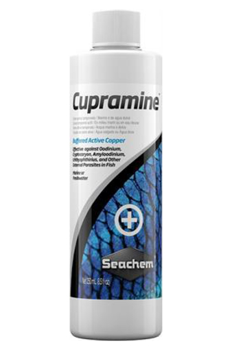 טיפול נחושת לדגים