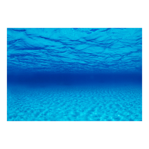 תמונה של פוסטר רקע לאקווריום דו צדדי - דגם SEAVIEW