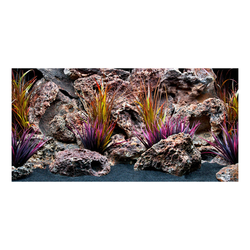 תמונה של פוסטר רקע לאקווריום דו צדדי - דגם SEAVIEW RED LACE