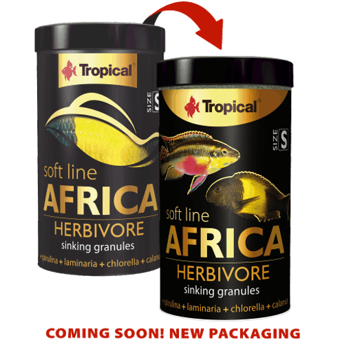 Tropical Africa Herbivore S מזון גרגירים קטן לציקלידים אפריקאים