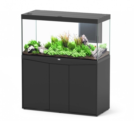 אקווריום VOLGA 240 ליטר – איכות ונפח מרשים לדגי נוי | ציקלידון