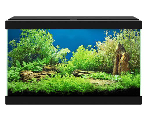 תמונה של אקווריום ציאנו אקווה 20 לד שחור- Ciano Aqua 20 LED