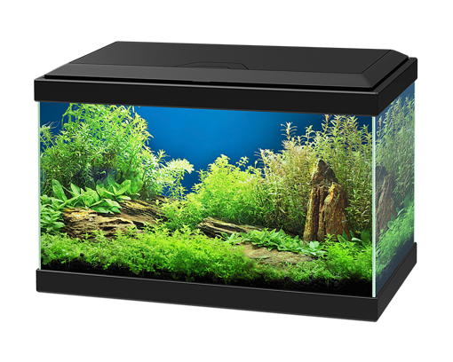 Ciano Aqua 20 nano black