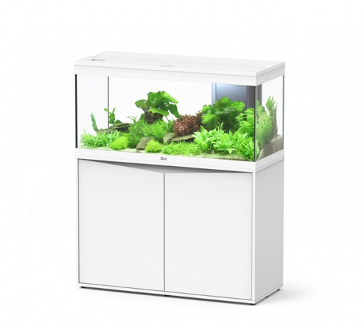 אקווריום VOLGA לבן – 180 ליטר של עיצוב מודרני ואיכות | ציקלידון