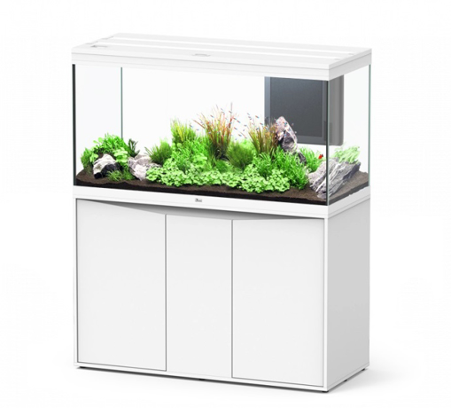 אקווריום VOLGA לבן – 350 ליטר של איכות ועיצוב יוקרתי | ציקלידון