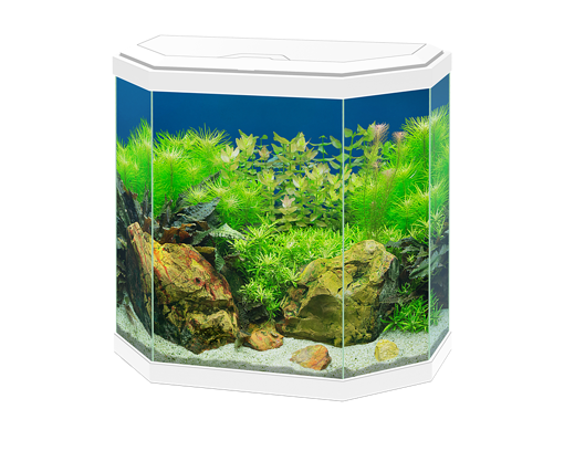 תמונה של אקווריום ציאנו אקווה 30 לד לבן- Ciano Aqua 30 LED