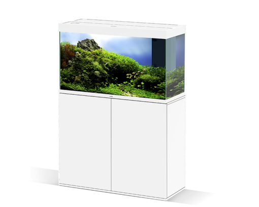 אקווריום ציאנו 100 לבן