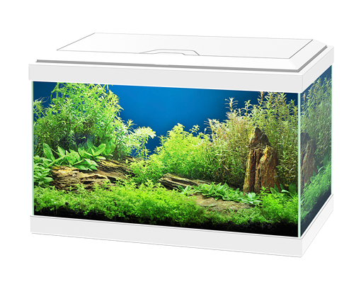 תמונה של אקווריום ציאנו אקווה 20 לד לבן- Ciano Aqua 20 LED