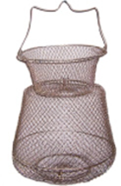 הצג מוצרים בקטגוריה ציוד נלווה תמונה עבור הקטגוריה ציוד נלווה