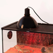 תמונה של רפלקטור עד 150W של Repti Zoo Reflecting Dome