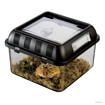 תמונה של טרריום פלסטיק למגדלים Exo-Terra Breeding Box Small