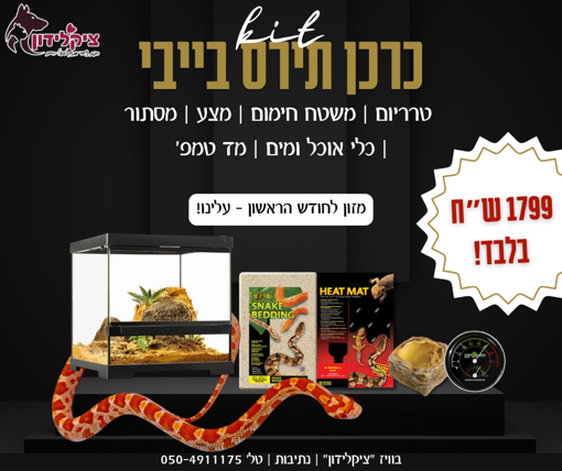 תמונה של כרכן תירס בייבי מופעי פרימיום + קיט גידול
