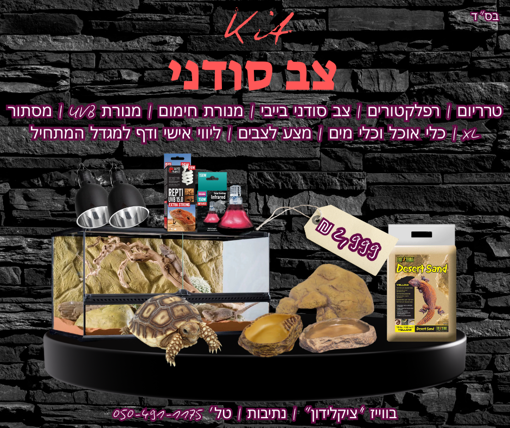 תמונה של צב סודני + טרריום וקיט גידול