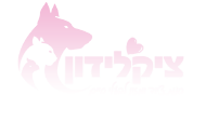 footer_logo