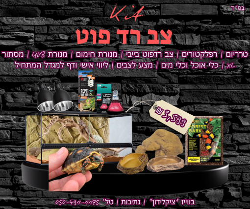תמונה של צב רדפוט + טרריום וקיט גידול