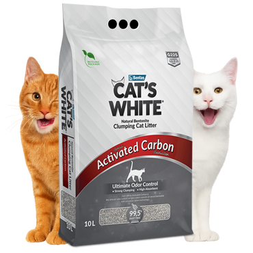 הצג מוצרים בקטגוריה חול מתגבש לחתולים תמונה עבור הקטגוריה חול מתגבש לחתולים