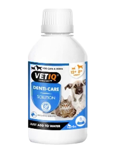 VetIQ מים דנטליים רפואיים לכלבים וחתולים – היגיינת פה ובריאות שיניים	