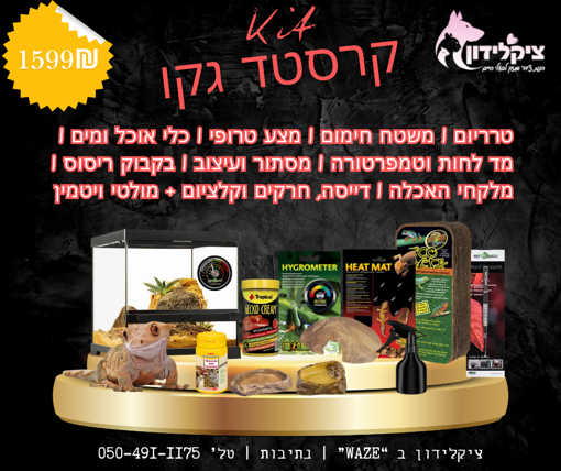 תמונה של קרסטד גקו + טרריום וקיט גידול
