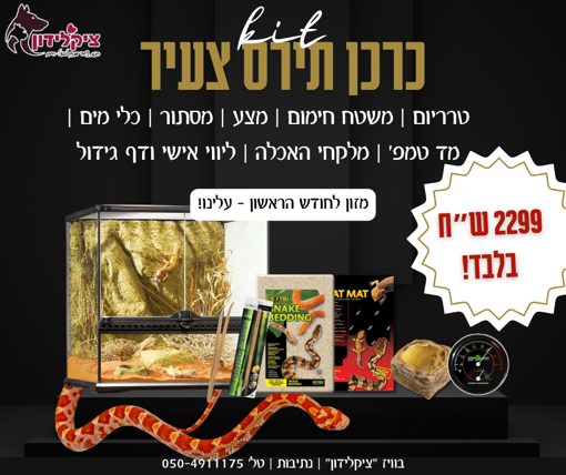 תמונה של כרכן תירס צעיר מופעי פרימיום + קיט גידול