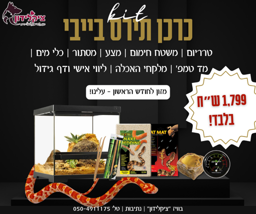 תמונה של כרכן תירס בייבי מופעי פרימיום + קיט גידול