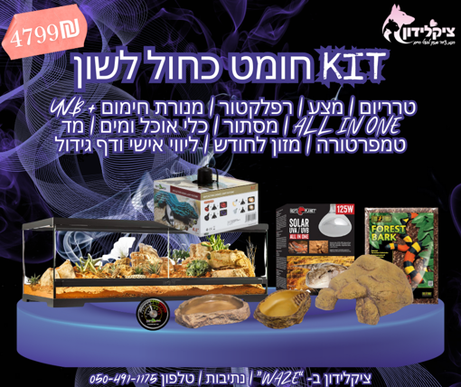 קיט חומט כחול לשון – ערכת גידול מלאה לזוחל אקזוטי עם טרריום וציוד