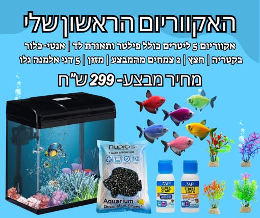 קיט אקווריום 5 ליטר כולל פילטר ודקורציות