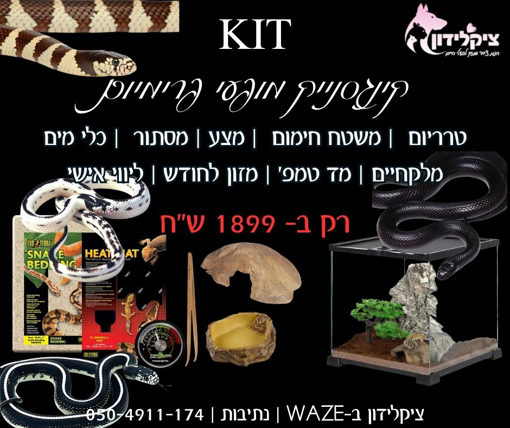 קיט קינגסנייק בייבי עם ציוד מלא