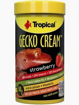Tropical Gecko Cream Strawberry