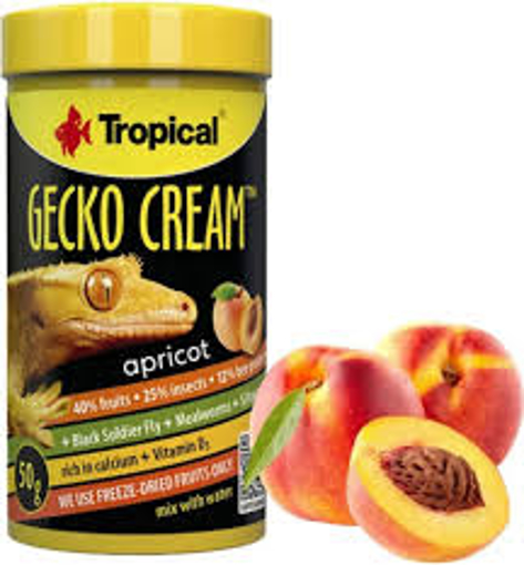 מזון אבקה לגקו קרסטד בטעם משמש