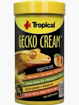 Gecko Cream משמש – מזון מלא לגקו קרסטד Tropical