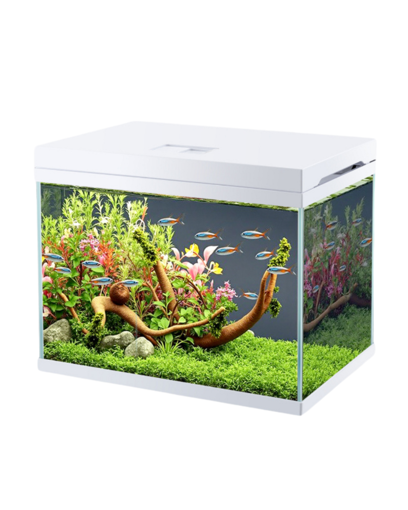 אקווריום שולחני SOBO ES-280F עם פילטר ותאורת לד