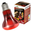 מנורת חימום אינפרא אדום Repti Zoo לזוחלים 75W