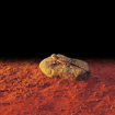 סלע חימום קטן Exo Terra Heat Wave Rock לזוחלים