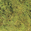 מוס טבעי לטרריום Zoo Med Terrarium Moss