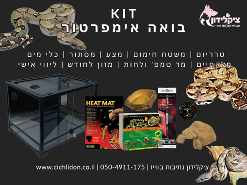 קיט קומפלט לבואה אימפרטור עם טרריום וציוד גידול מלא