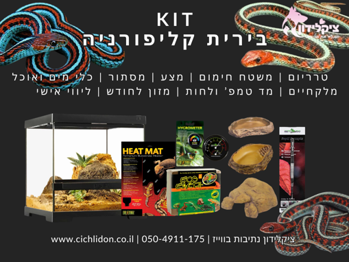 ערכת גידול לנחש בירית קליפורניה